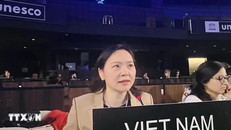 Đại sứ Nguyễn Thị Vân Anh, Trưởng Phái đoàn Đại diện thường trực Việt Nam bên cạnh UNESCO phát biểu tại Kỳ họp lần thứ 19 của Ủy ban liên chính phủ Công ước của UNESCO về Bảo vệ và phát huy sự đa dạng của các biểu đạt văn hóa. (Ảnh: TTXVN)