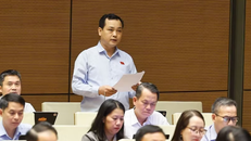 Đại biểu Quốc hội Thành phố Hồ Chí Minh Lê Văn Đông phát biểu.