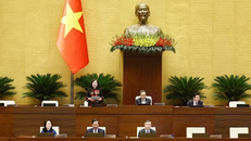 Phó Chủ tịch Quốc hội Nguyễn Thị Hồng phát biểu.