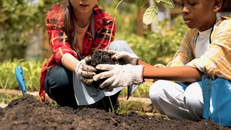 UNESCO ra mắt sáng kiến giáo dục xanh. Ảnh: MMD Creative/Shutterstock.com