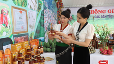 Sản phẩm của HTX Ong Phổng Lái, huyện Thuận Châu, được trưng bày tại các gian hàng nông nghiệp tiêu biểu trong các sự kiện lớn của huyện.