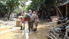 Người dân lội bùn khi di chuyển trên 2 tuyến phố Thanh Niên và Trần Hưng Đạo (thành phố Yên Bái, tỉnh Yên Bái).