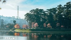 Hồ Xuân Hương - trái tim của Đà Lạt là thắng cảnh nổi tiếng, thu hút du khách trong và ngoài nước bởi vẻ đẹp dịu dàng, lãng mạn.