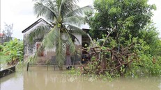 Nhà ở và vườn của người dân trên địa bàn xã Diễn Bích, huyện Diễn Châu, Nghệ An bị ngập nặng.