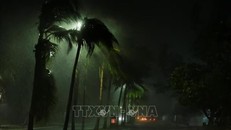 Gió và mưa lớn khi bão đổ bộ vào Cancun, Mexico ngày 25/9/2024.