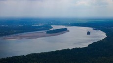 Một tàu kéo di chuyển qua các bãi cát giữa mực nước thấp trên sông Mississippi. Ảnh: Gerald Herbert/AP