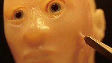 Mô hình đầu người 3D được bao phủ với lớp da sống. Ảnh: Takeuchi et al