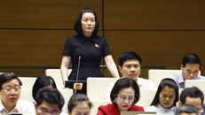 Đại biểu Quốc hội tỉnh Quảng Bình Nguyễn Minh Tâm phát biểu ý kiến. Ảnh: Doãn Tấn/TTXVN