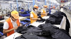 Sản xuất hàng may mặc tại Xí nghiệp Sơ mi, Veston của Tổng Công ty May 10 tại Sài Đồng, Quận Long Biên, Hà Nội. Ảnh: Anh Tuấn/TTXVN