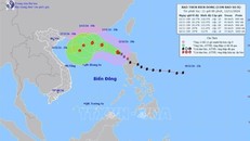 Đường đi của bão số 08 lúc 10h ngày 12/11/2024. Ảnh: TTXVN phát