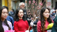 Thiếu nữ bên cành đào đón Xuân. Ảnh: Thanh Tùng/TTXVN