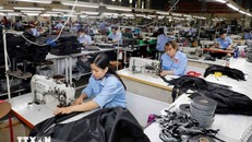 Sản phẩm túi da tiêu dùng trong nước và xuất khẩu. Ảnh: Trần Việt/TTXVN