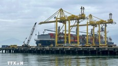 Bốc xếp hàng container tại Cảng Tiên Sa, Đà Nẵng. Ảnh: Trần Lê Lâm/TTXVN