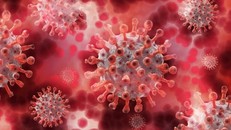 Chuyên gia hướng dẫn cách phòng ngừa virus HMPV 