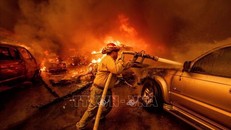 Lính cứu hỏa nỗ lực dập lửa cháy rừng tại Altadena, California, Mỹ. Ảnh: AP/TTXVN