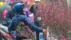 Thời tiết dịp nghỉ Tết Nguyên đán năm 2025 phổ biến rét. Nguồn: Vietnam+