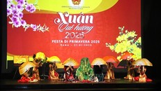 Các tiết mục đặc sắc trong chương trình biểu diễn nghệ thuật “Xuân quê hương” tại Italy. Ảnh: Trường Dụy/TTXVN