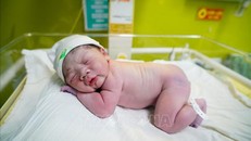 "Em bé rắn" đầu tiên của năm Ất Tỵ chào đời tại Bệnh viện Phụ sản Hà Nội lúc 0 giờ 1 phút ngày 29/1/2026 (Mùng 1 Tết Ất Tỵ). Ảnh: Khánh Hoà/TTXVN