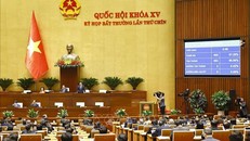 Quốc hội biểu quyết thông qua Luật Tổ chức Chính phủ (sửa đổi). Ảnh: Doãn Tấn/TTXVN