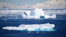 Băng trôi ở Nam Cực. Ảnh: AFP/TTXVN