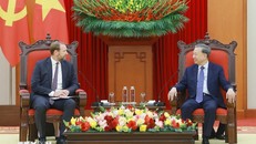 Tổng Bí thư Tô Lâm tiếp ông Nate Franklin, nhà sáng lập và Chủ tịch Tập đoàn Pacifico Energy (PE), Hoa Kỳ. Ảnh: Thống Nhất/TTXVN