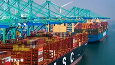 Quang cảnh cảng hàng hóa ở Thiên Tân, Trung Quốc. Ảnh: THX/TTXVN