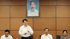 Chủ tịch nước Lương Cường, đại biểu Quốc hội Thành phố Hồ Chí Minh phát biểu tại tổ. Ảnh: An Đăng