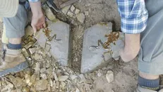 Ảnh minh họa. Nguồn: phys.org