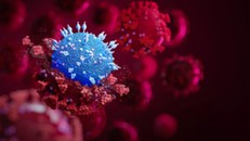 Chủng virus SARS-CoV-2 mới tại Trung Quốc có độc tính tương đối thấp