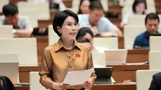 Các đại biểu Quốc hội thảo luận tại hội trường về dự án Luật Thanh tra (sửa đổi).