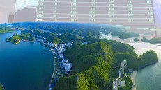 Sắp vận hành thí điểm thị trường carbon. 