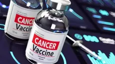 Ảnh: Barlaman Today