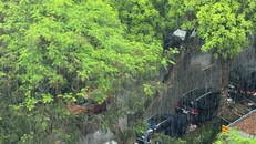 Các khu vực đều có mưa. 