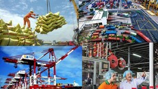 Hoàn thiện thể chế, nâng tầm chất lượng sản phẩm, hàng hóa