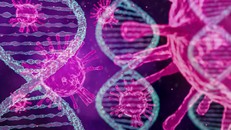 Phát hiện mới về virus bạch cầu và tiềm năng điều trị HIV