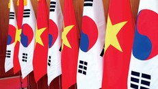 Quan hệ Đối tác Chiến lược Toàn diện Việt Nam-Hàn Quốc