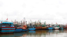 Chủ động ứng phó áp thấp nhiệt đới. Ảnh: Nguyên Lý