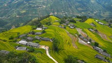Ruộng bậc thang Hoàng Su Phì tuyệt đẹp khi nhìn từ trên cao