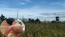 Một gia đình ở Ninh Thuận liên tục bị đánh, chém khi ngăn cản người lạ xâm phạm đất trồng trọt của mình.