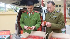 Ban Chỉ đạo 389 huyện Lộc Bình, tỉnh Lạng Sơn.