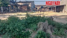 Thửa đất xảy ra sự vụ. Ảnh: Lê Xuân Thọ