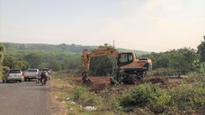 Trong cơn sốt đất, nhiều lô đất nông nghiệp tại huyện Hớn Quản bị chặt cây, san nền đem bán.