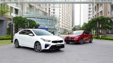 Các mẫu xe mới đưa ra thị trường như NewMorning, Seltos, Sorento đã tạo được niềm tin lớn đối với khách hàng Việt Nam.