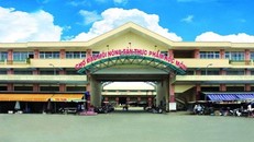 Bắt đầu từ 0 giờ ngày 28/6, chợ Đầu mối Nông sản Thực phẩm Hóc Môn sẽ tạm dừng hoạt động trong vòng một tuần.