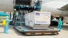 Thêm 921.400 liều vắc xin AstraZeneca được chuyển về Việt Nam