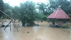 Ao cá của người dân bị ngập, cá theo nước đi mất gây thiệt hại nặng nề.