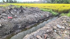 San lấp đất ruộng gây ngập úng nên chủ đất phải móc cái mương thoát nước. 