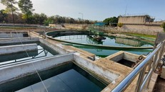 Hệ thống hồ chứa chỉ cách mương nước mưa khoảng 5 mét.