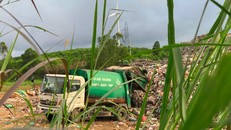 Xe rác mang biển xanh ở Thị xã An Khê đổ rác trực tiếp ra môi trường.