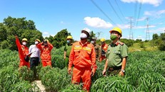 EVN đã đảm bảo cung cấp điện an toàn và ổn định trong dịp lễ Quốc Khánh 2/9/2022
